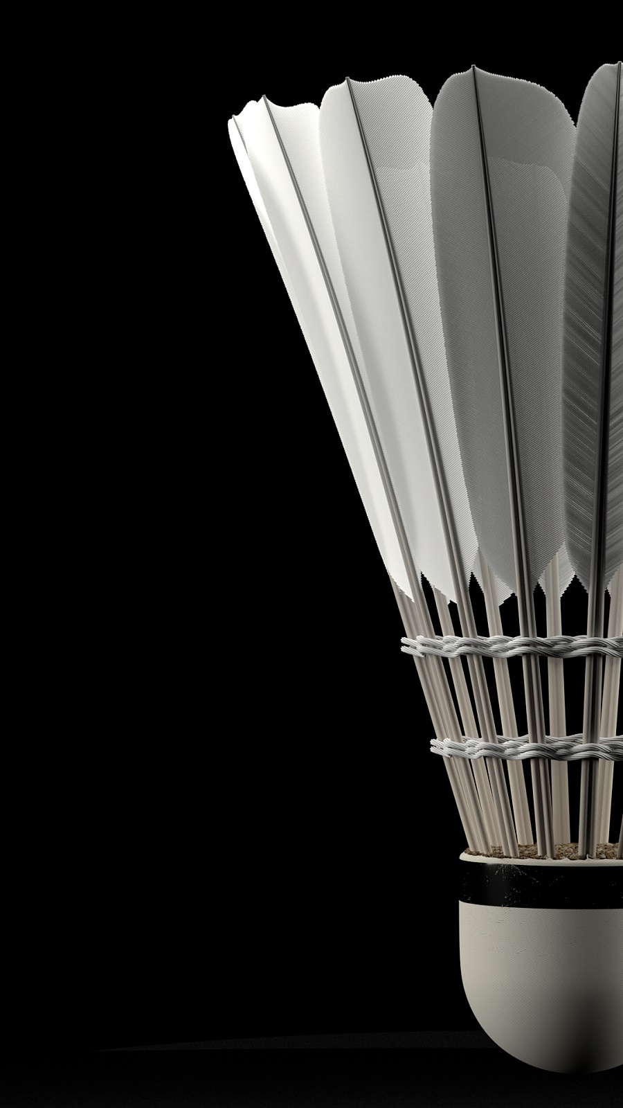 杯比赛中 杯比赛中